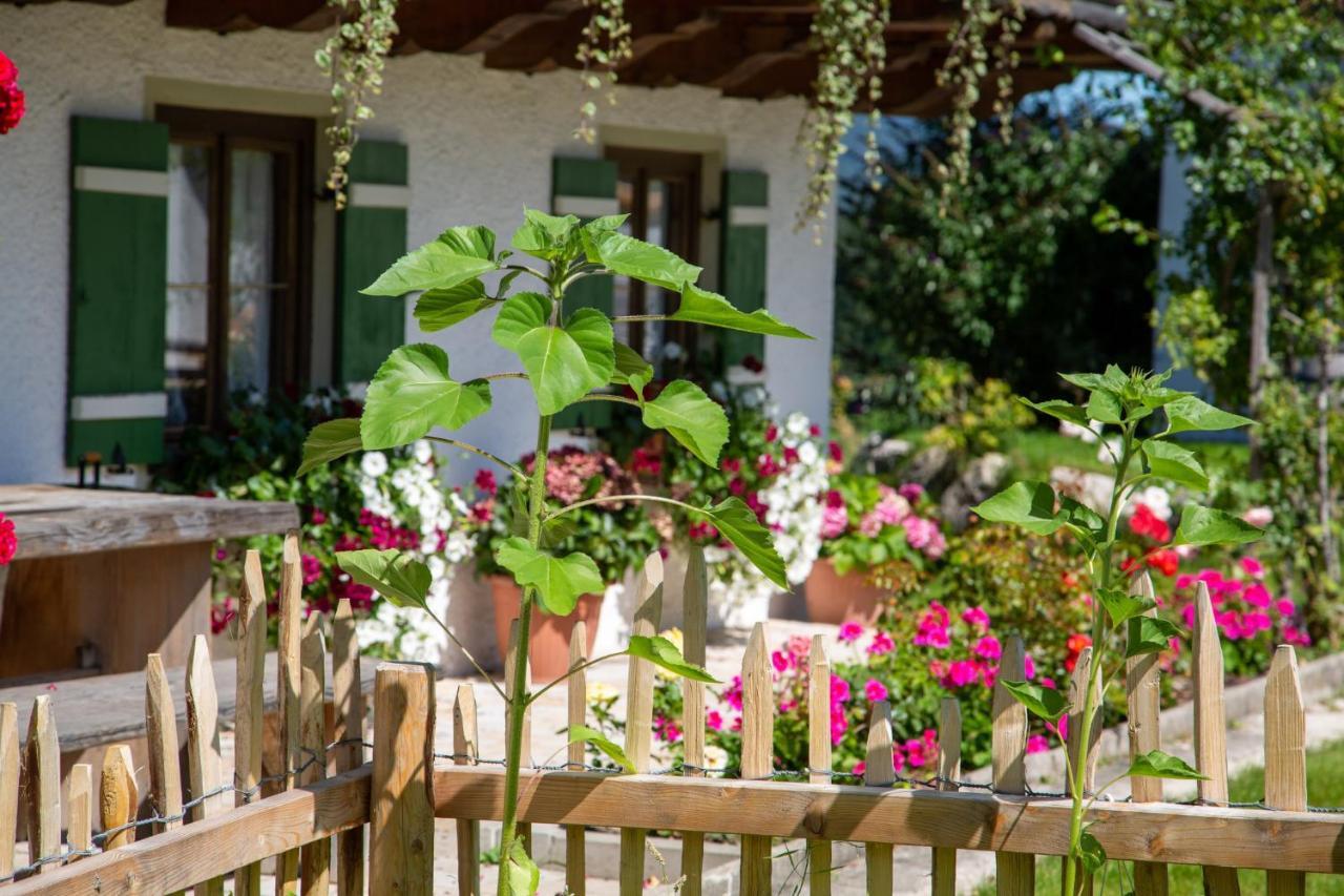 Вілла Ramslerhof - Chiemgau Karte Інцель Екстер'єр фото